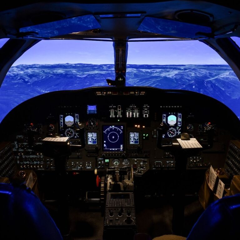 Flight simulator