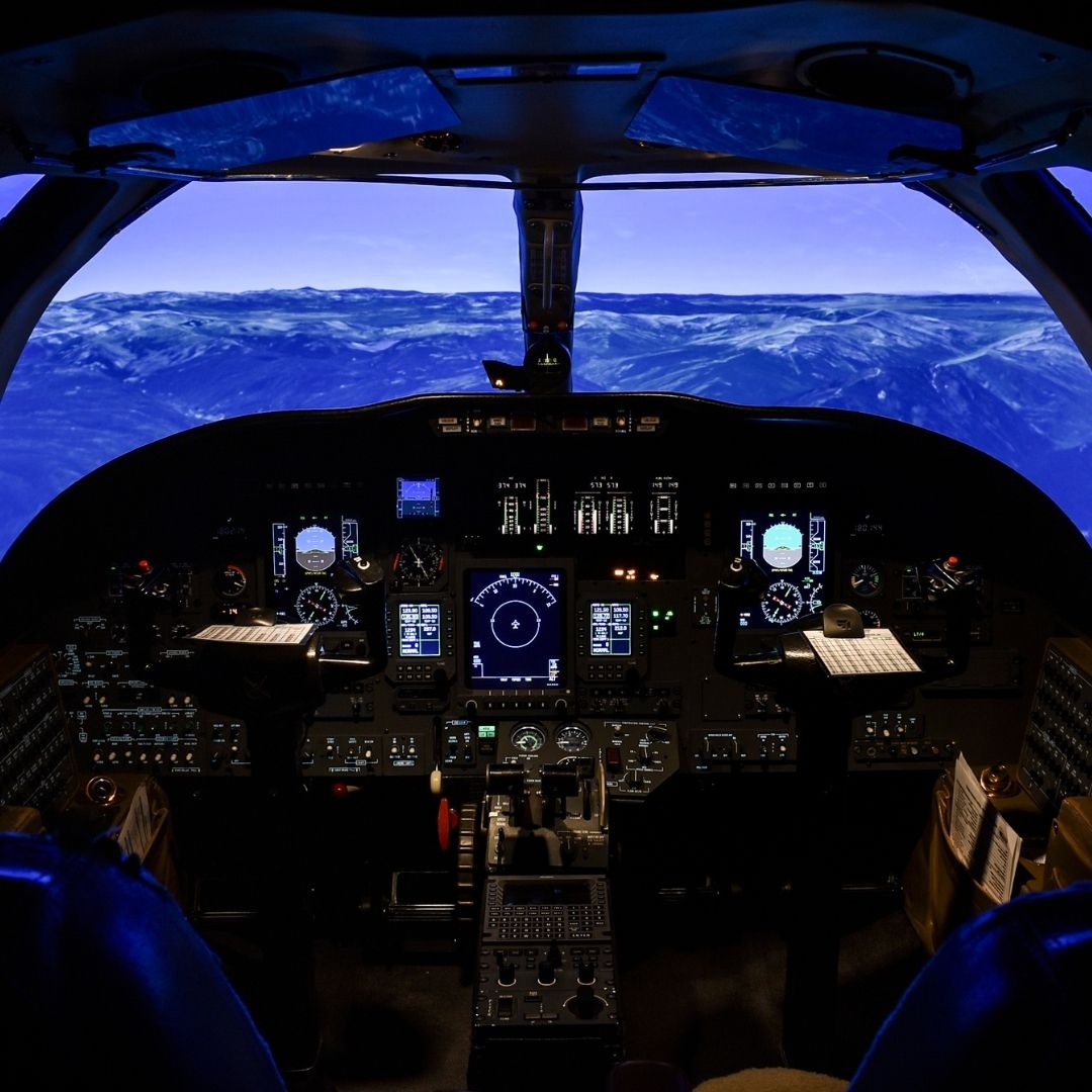 Flight simulator
